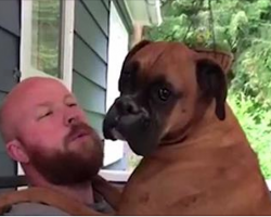 Man asks his dog, “Are you a dog or a baby?” Dog’s response will make you laugh out loud