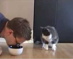 Owner Pretends To Eat From Cat’s Bowl. Internet In Laughter At Cat’s Comeback