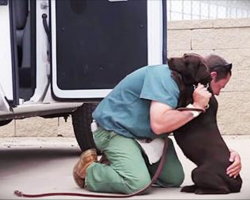 A Tough Prison Inmate Raised This Dog, But Watch What Happens When He Says Goodbye
