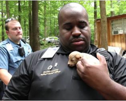 Cops Rescue 526 Puppies From A Monster. One Year Later, The Rescue Dogs Reunite