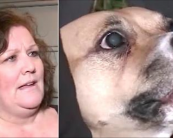Newly Adopted Dog Won’t Quit Growling. Nervous Owner Makes Terrifying Discovery