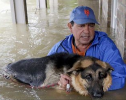 For these owners, saving their pets during Hurricane Harvey was paramount. The photos say it all