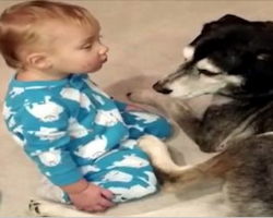 Baby Is So Sleepy – But It’s The Dog’s Reaction That Made Mom Run For The Camera