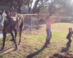 Two Girls Filmed Dancing Next To Horse – After Watching The Footage Back They Burst Out Laughing