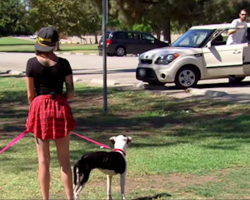 She takes two heartbroken dogs to the park. But when they see the man in white, everything changes…