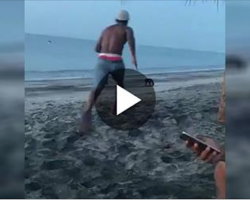Young Man Attempts To Kick Stray Dog At Beach And Gets Dose Of Instant Karma