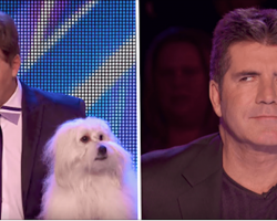 He Annoys The Crowd When It Doesn’t Go To Plan – Moments Later Their Jaws Hit The Floor