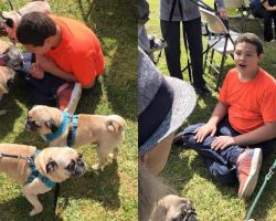 Boy With Autism Who LOVES Pugs Gets The Best Birthday Surprise