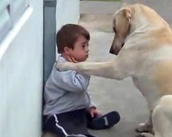 Boy With Down Syndrome Has No Friends. The Dog’s Reaction Brought Everyone To Tears.