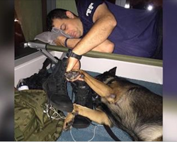 Cop falls asleep gripping K9 partner’s hand, reminds world of their sacrifice fighting hurricane