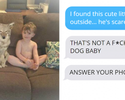 Wife Texts Husband She Brought A Dog Home While The Pic Shows A Coyote, And He Seriously Freaks Out