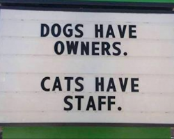 9 Genius Vet Signs That Every Pet Owner Can Relate To