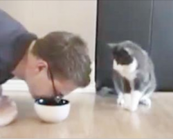 He Gets on Knees And Pretend He’s Eating Some Cat Food… But The Cat’s Response Is Perfect!