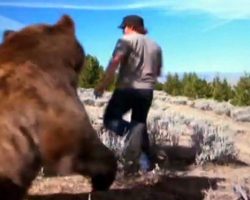Man Saves an Abandoned Bear Cub – 6 Year later Gets A Jaw-Dropping Surprise At The Reunion