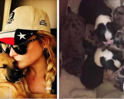 Miranda Lambert just rescued over 300 animals stranded by hurricane, and she’s not done yet