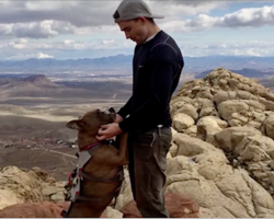 After 6 Months Of No Eye Contact, Dad Figures Out Adopted Dog’s True Passion