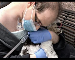 Dog Reunites With His Cancer-Fighting Dad After Hurricane Harvey Tears Them Apart