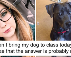 Girl Begs Professor To Let Her Bring Dog To Class To Save It From Hurricane, And His Response Wins Internet