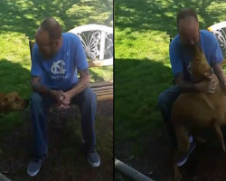 Confused dog barks at the strange man in his garden… before he realizes it’s actually his owner who’s lost 51lb after five weeks in hospital
