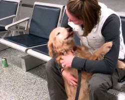 Dog reunites with owner after months apart – now watch his amazing reaction