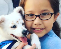 Girl who is deaf finds ‘best friend’ in puppy who is also hard of hearing