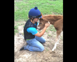 Baby Horse Snuggles With Girl Like The Cuddliest Of Pups