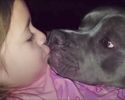 Little Girl Sings To Her Pit Bull In A Precious Display Of Affection