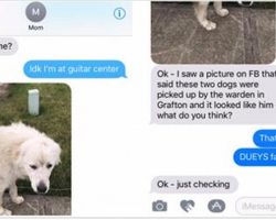 Mom Misidentifies The Family Dog And Twitter Can’t Stop Laughing
