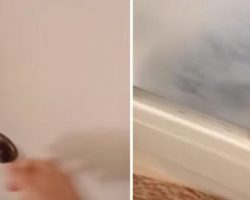 Home Alone, This Mom Was Stunned To Hear Noise From The Bathroom, When She found Out Why, She Lunged For Her Camera