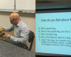Professor Brings Dog To Class And Gives Students a Pop Quiz About Her