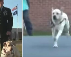 Man Visits Prison With Service Dog – Then Dog Sprints Towards Inmate