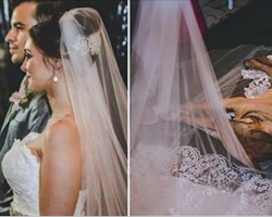 Bride And Groom Say Vows But A Lonely Stray Dog Suddenly Lies On Her Gown And Refuses To Leave