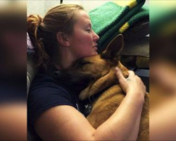 Woman took in his dad’s dog after he passed away, but soon discovers some heartbreaking news
