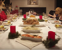 Pets Gather Around The Table To Celebrate Christmas With A Holiday Feast. This is Priceless!