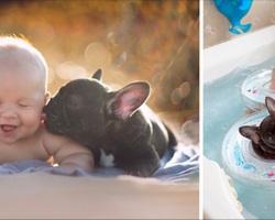 Dog And Baby Born On The Same Day Do Everything Together