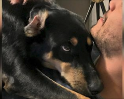 Dog Pretends To Be Sick So His Dad Will Stay Home From Work