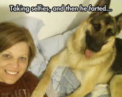 Mom Accuses Dog Of Farting During Selfie, Captures His Defense In The Following Frames