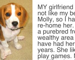 Girlfriend Demands “Either The Dog Goes Or I Go”. Boyfriend’s Response Is Absolutely Brilliant