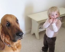 Toddler and Dog Sing the Blues