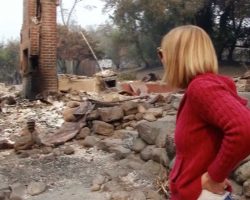 Woman Thinks Cat Died In Wildfire. Here’s The Tearful Moment They Find Her In The Ruins