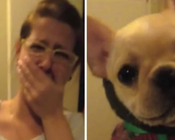 Woman Tells Pup That She Loves Her, But The Dogs Response Brings Her To Tears.