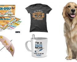 20 Items That All Golden Retriever Lovers Need To Have