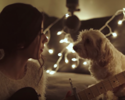Woman Serenades Her Dog With A Beautiful Christmas Tune