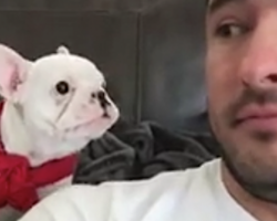 Dad Tells Pup He Looks Handsome-Dog Response Has Him Rolling On The Floor