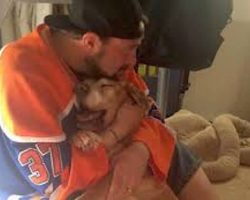 Kevin Smith Shares Moving Tribute To His Dying, 17-Year-Old Dog