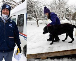 What this mail man did for a senior dog on his route is so heartwarming!