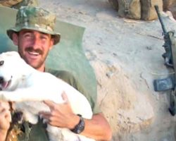 Marine Breaks Rules To Rescue Stray Dog Overseas, Dog Returns The Favor When He’s Back Home