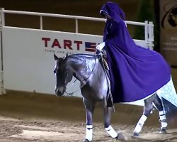 Woman Enters The Arena. Once She Removes Her Cape, Everyone Was Left Spellbound
