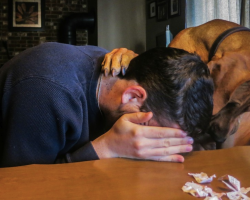 14 Times Pets Knew Their Owners Needed Comfort
