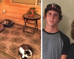 Grandma Takes Care Of Stray Cat. Grandson Dies Of Laughter When He Learns It’s Not A Cat At All